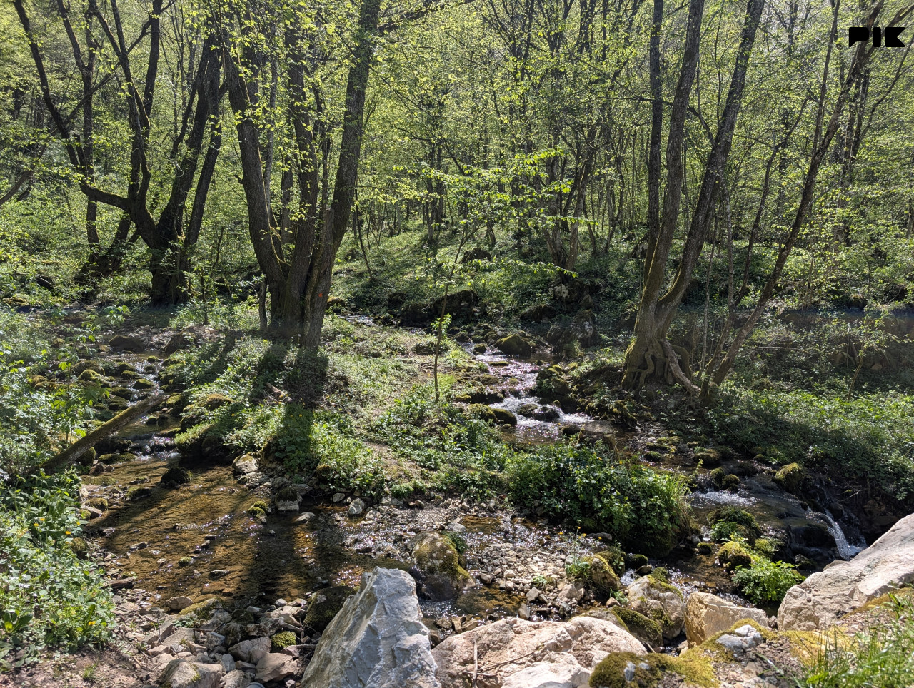 Kuća, zemlja, livada, suma, izvor Presjenica, Trnovo 11