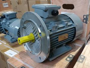ELEKTRO MOTOR 3kW 2890obrt.