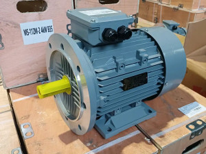 ELEKTRO MOTOR 4kW 2914obrt.