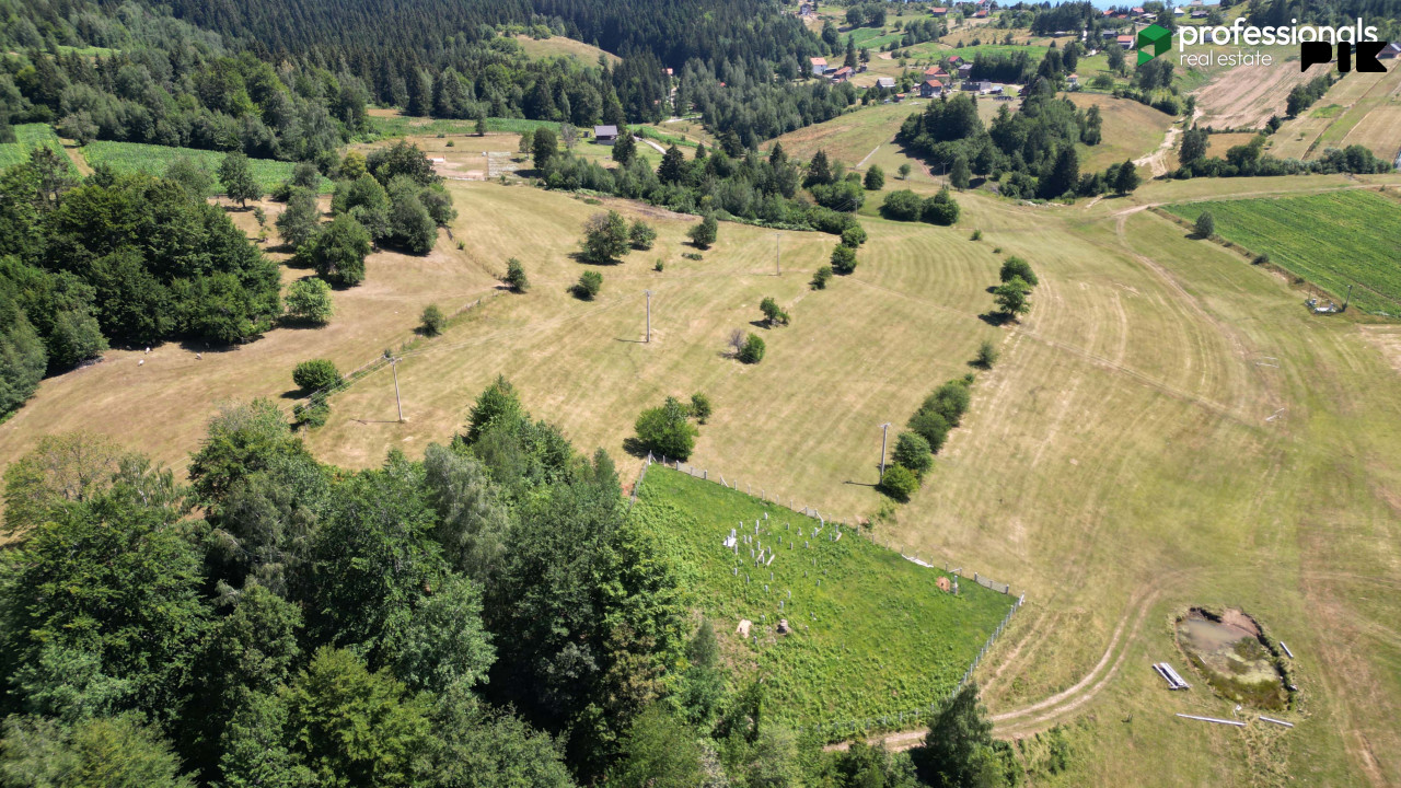 Zemljiše Gornji Čevljanovići 1998m2 7