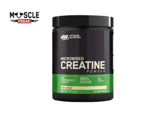 Optimum Nutrition Micronized Creatine Powder 317g