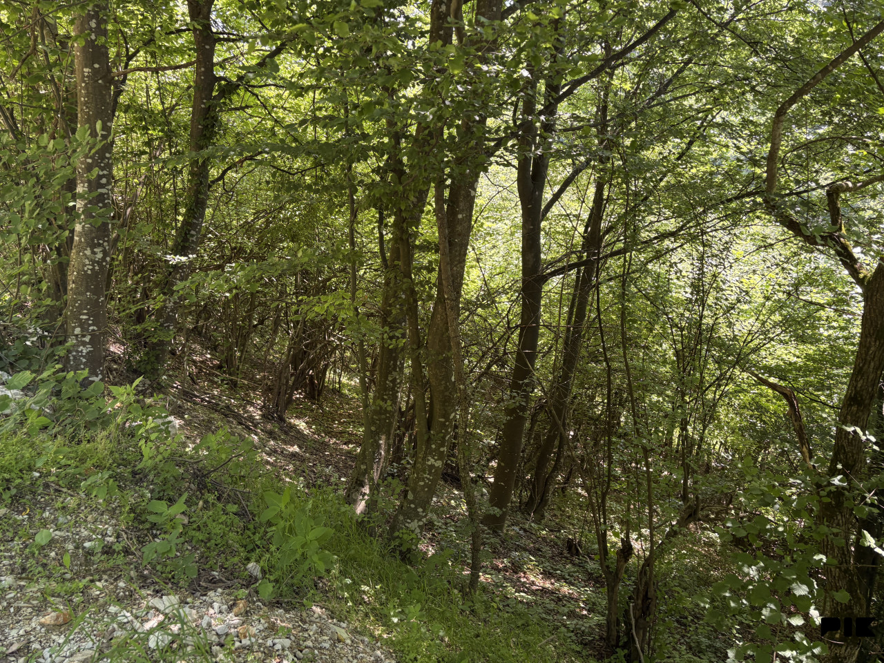 Zemljište Hadžići/Drozgometva/13000m2 3