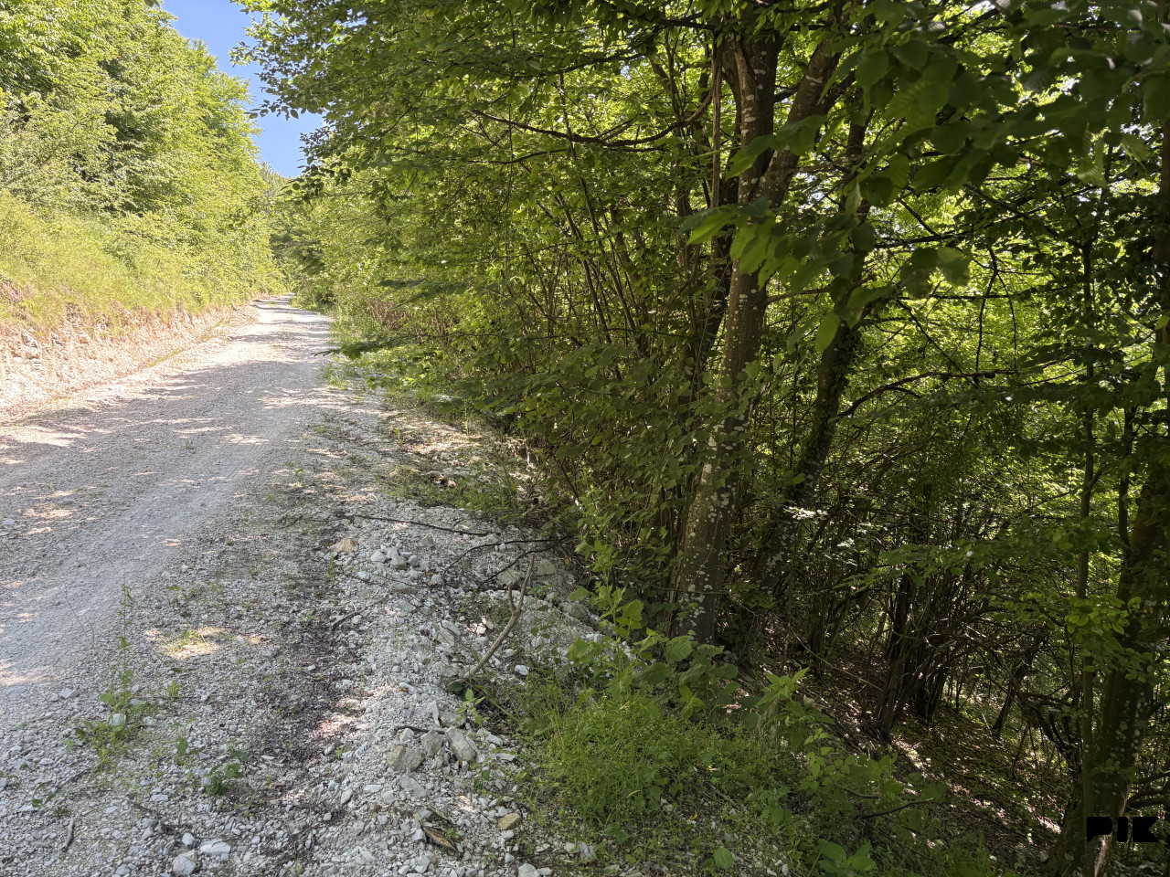 Zemljište Hadžići/Drozgometva/13000m2 4