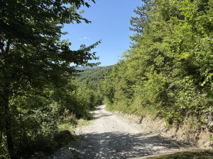 Zemljište Hadžići/Drozgometva/13000m2