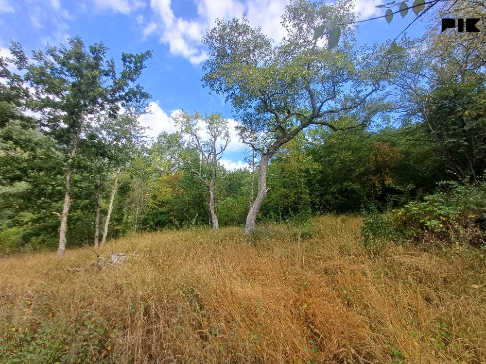 Višegrad zemljiste pored Drine 4