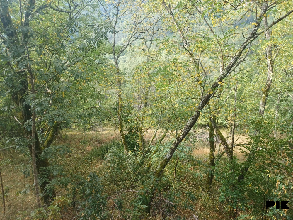 Višegrad zemljiste pored Drine 8