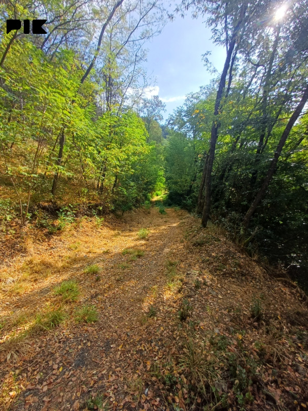 Višegrad zemljiste pored Drine 10