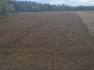 Zemljište, 7000 m², Bijeljina