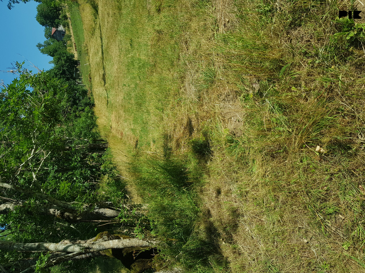 Zemljište Trnovo 770m2 3