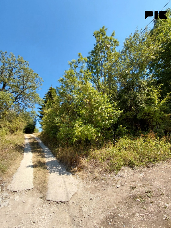 Kuca sa zemljistem u naselju Turovi, Trnovo (RS) 2