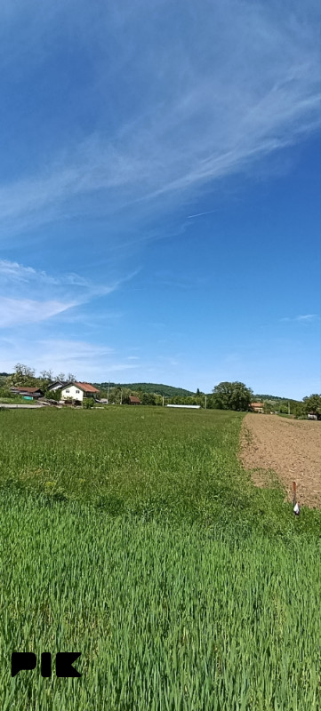 Zemljište Laktaši 6