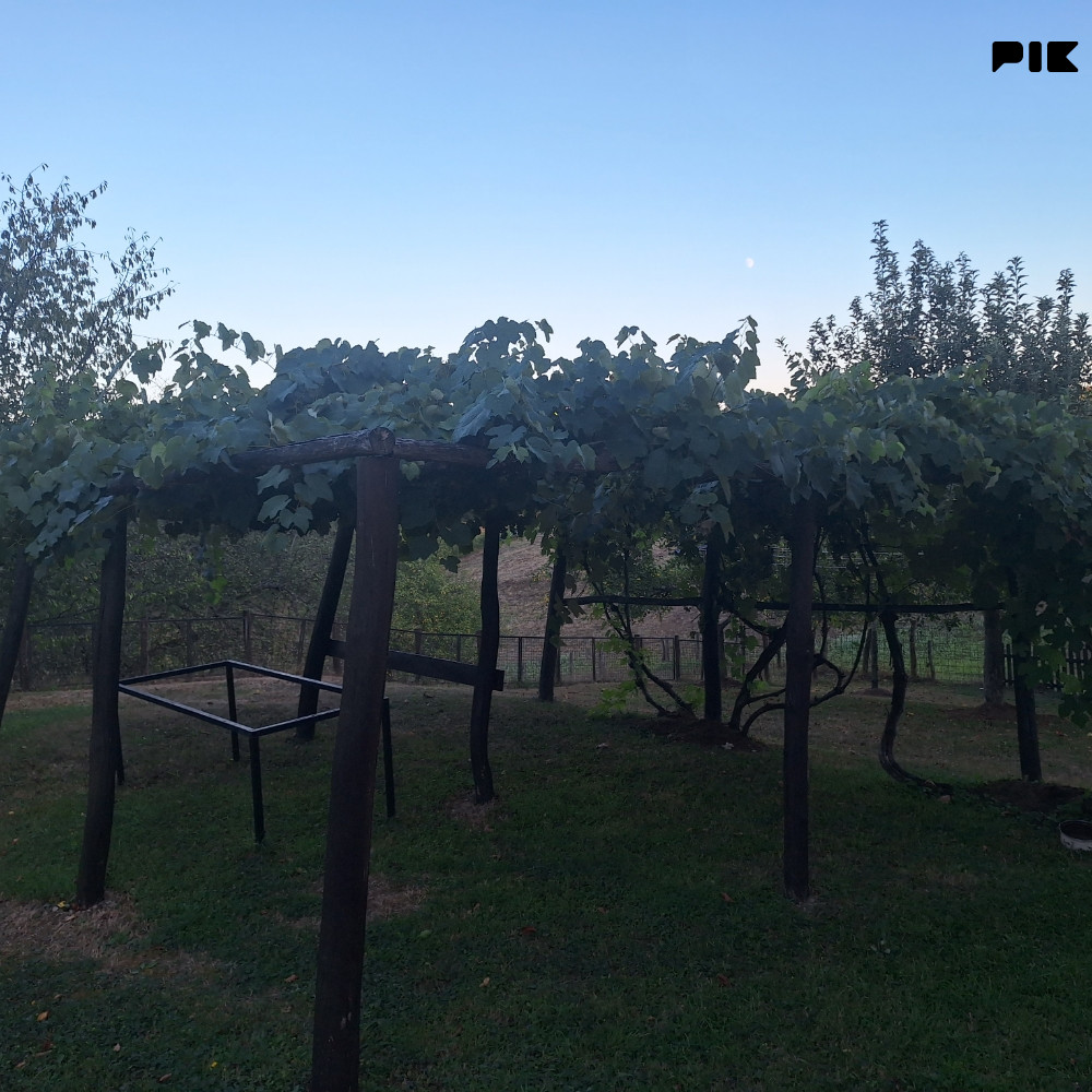 Kuća Prijedor 4