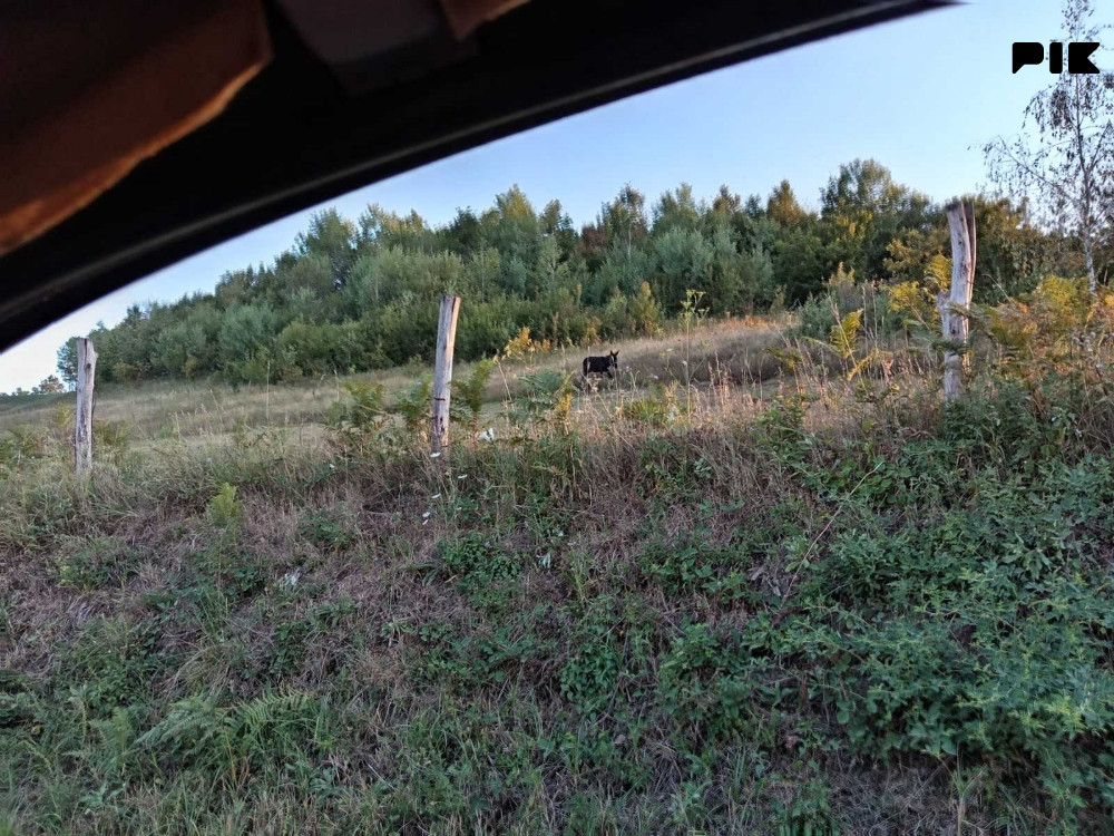 Zemljište Slatina