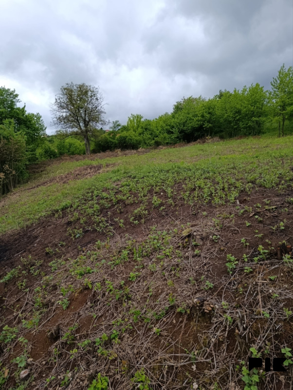 Kuca i parcele 3