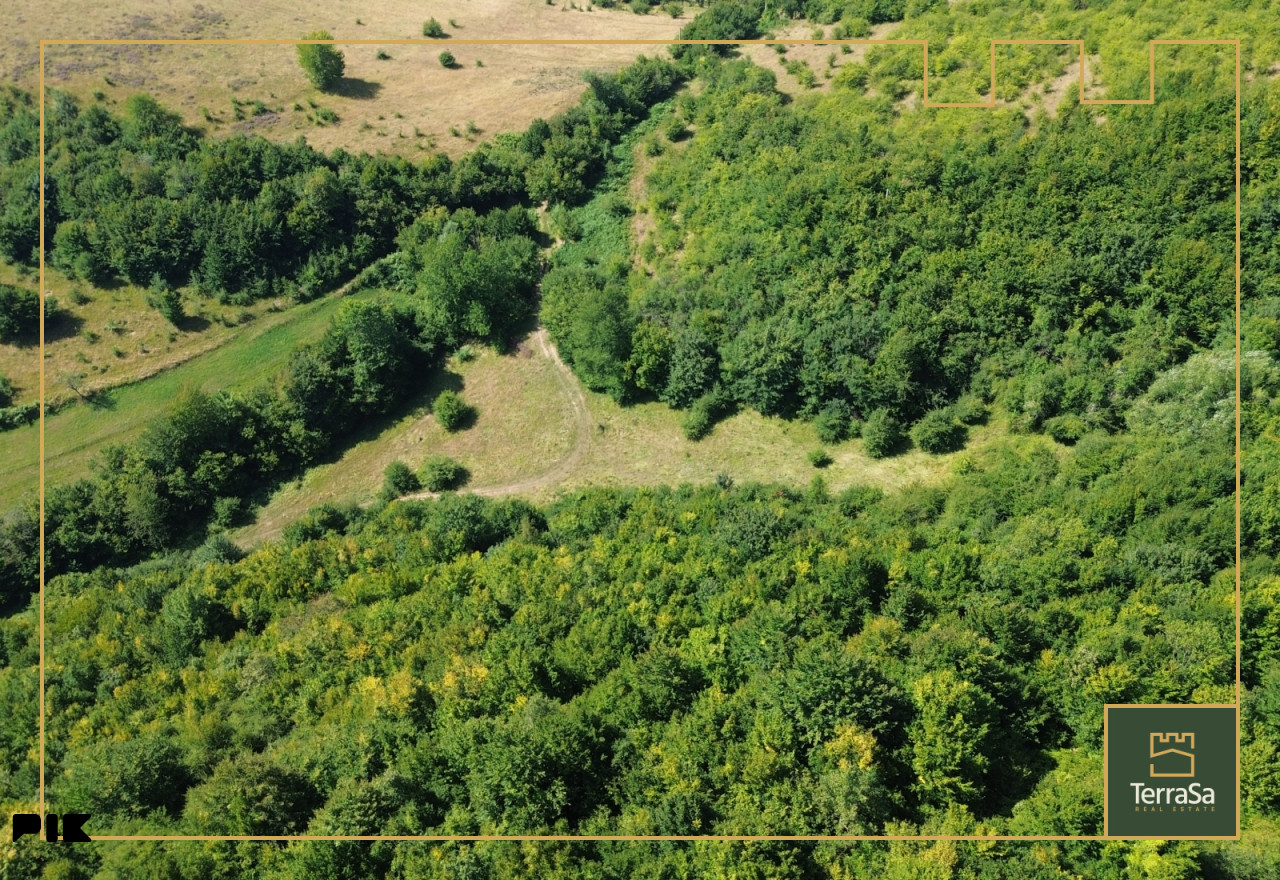 Poljoprivredno zemljište 9719 m2/ Gornja Raštelica/ Hadžići 5