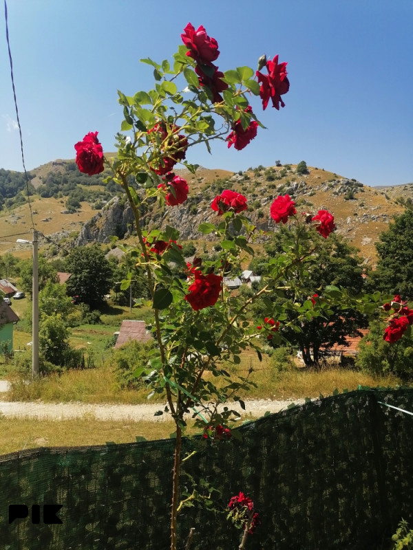 Vikendica Bjelašnica, Umoljani 12