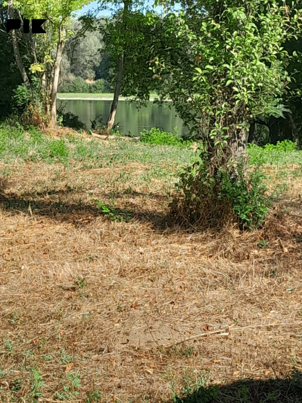 Zemljište Derventa 4800m2 4