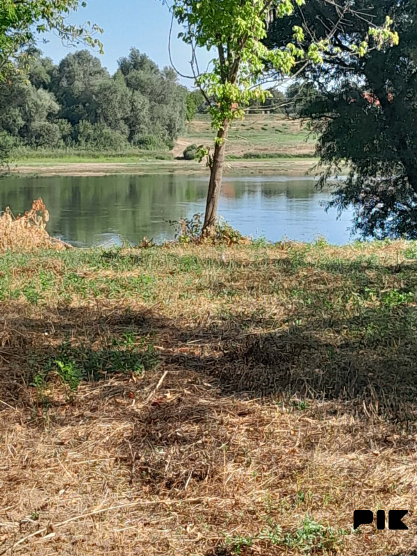 Zemljište Derventa 4800m2 5