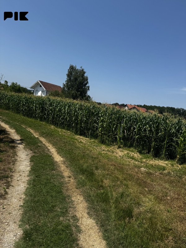 Zemljište Doboj (Velika bukovica) 4