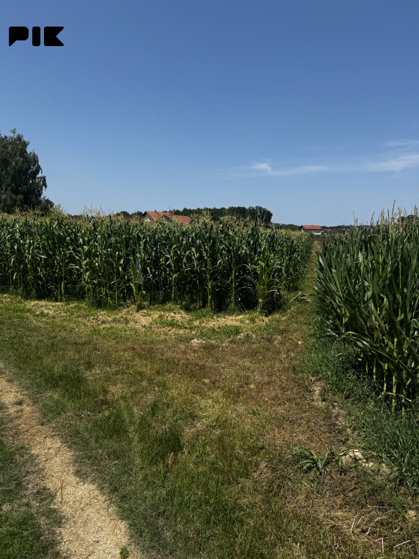 Zemljište Doboj (Velika bukovica) 5