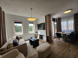 Ravna planina apartman 47 m2 sa dvije spavace photo 3