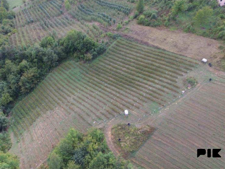 2 parcele sa kućom- Visoko (Gorani) 53000m2 i 11000m2 građevinsko 9