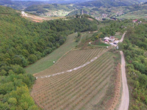 2 parcele sa kućom- Visoko (Gorani) 53000m2 i 11000m2 građevinsko