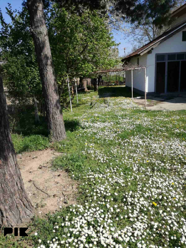 Kuća Bijeljina 11