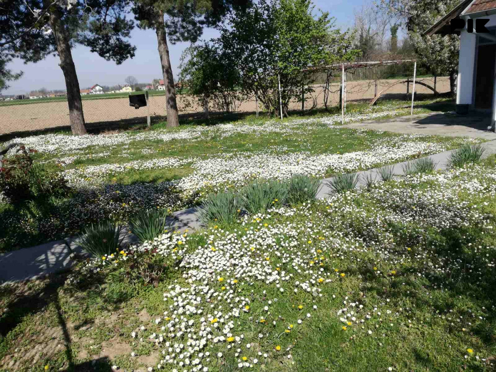 Kuća Bijeljina 12