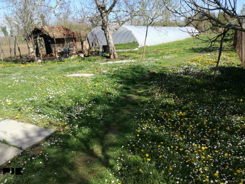 Kuća Bijeljina 14