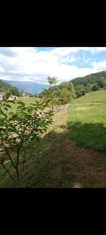 Zemljište Travnik 5