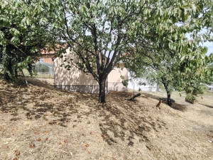Kuća i zemljište uz granični prelaz Šepak photo 5