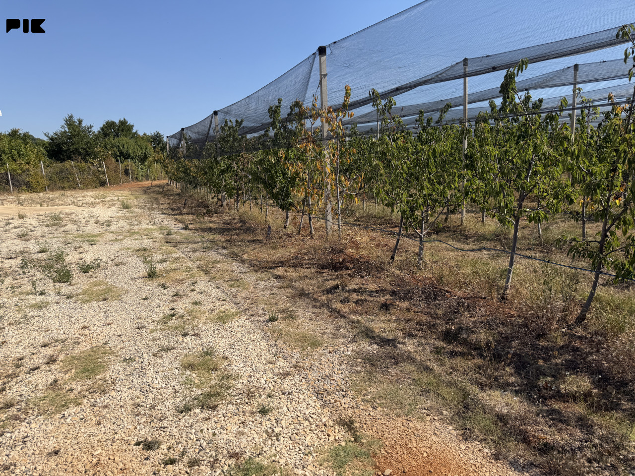 Parcelisano građevinsko zemljište Čapljina od 843 do 1.283 m2 6