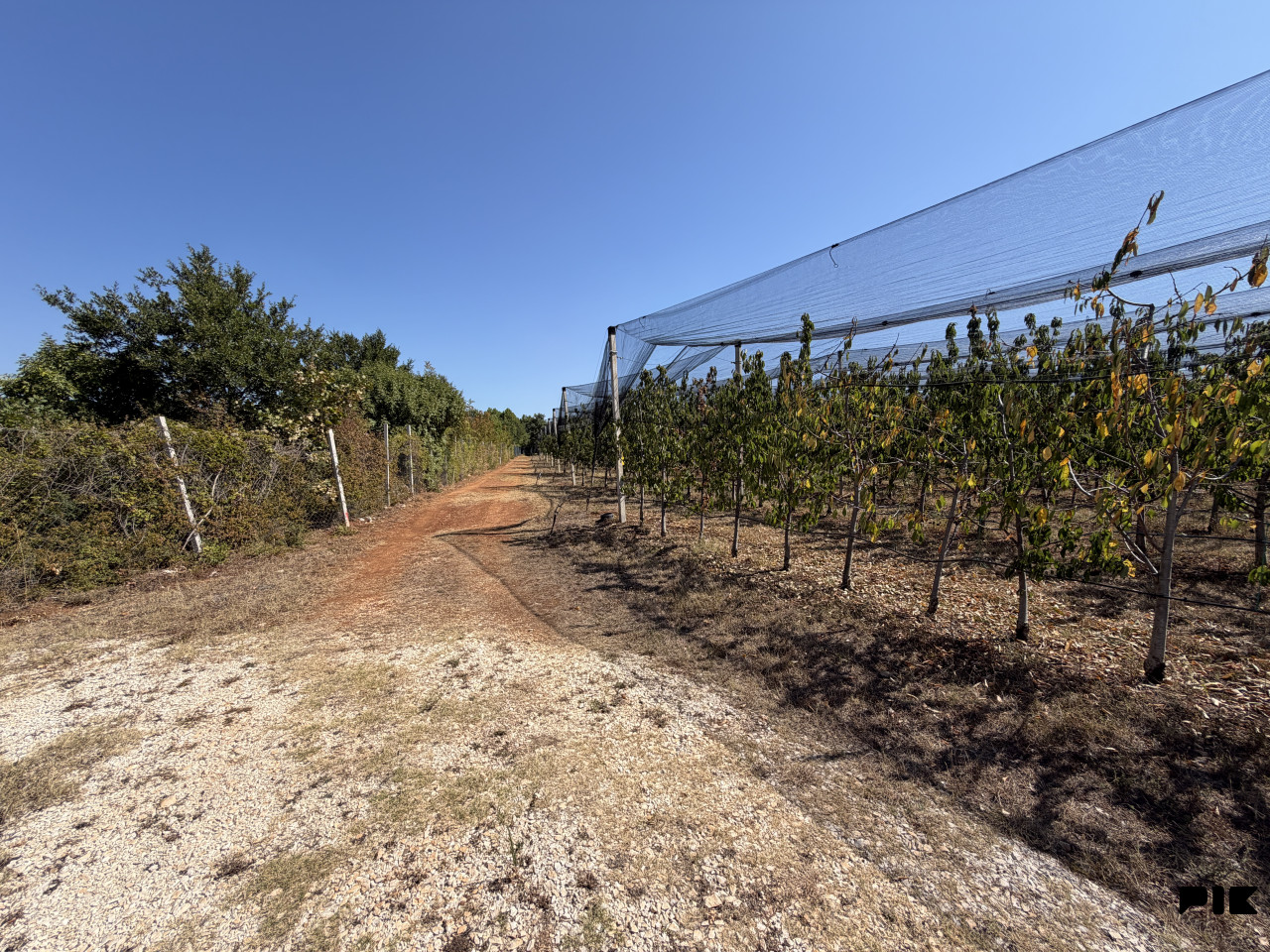 Parcelisano građevinsko zemljište Čapljina od 843 do 1.283 m2 10