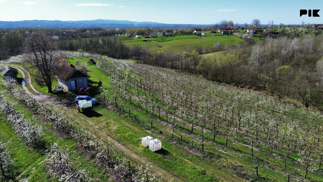 Voćnjak Papažani Laktaši 6300 stabala 8