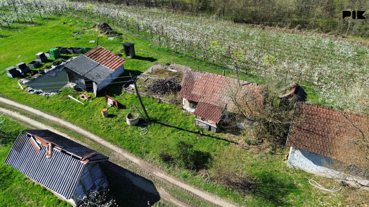 Voćnjak Papažani Laktaši 6300 stabala 12