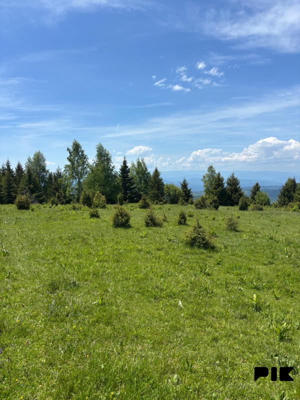 Vikendica Sarajevo - Stari Grad (kuca) +38762350271 19