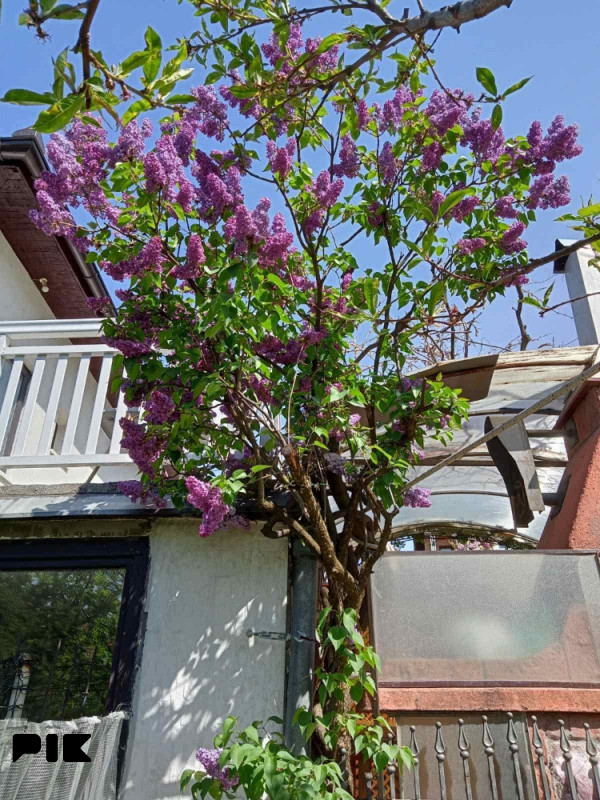 Kuća  Centar- Stara Breka 130m2 6