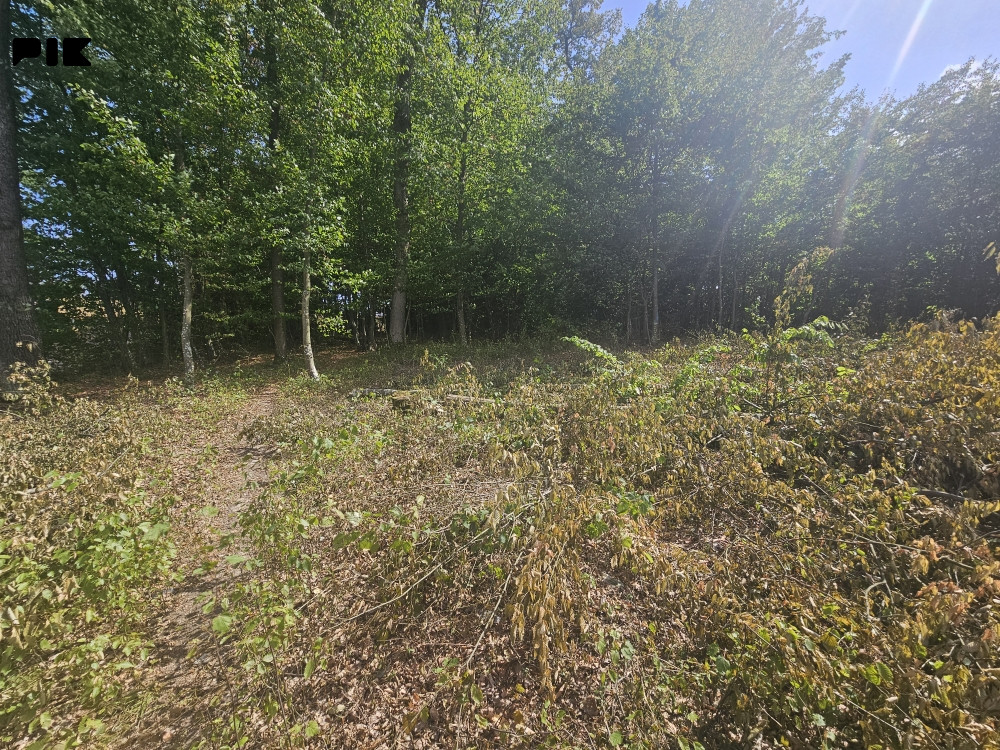 Zemljište Istočno Sarajevo Tilava 2000 m2 moze se parcelisati 4