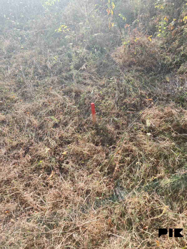 Zemljiste Zeleni Vir 3800m2 3