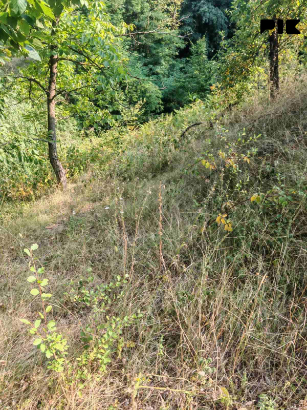 Zemljiste Zeleni Vir 3800m2 4