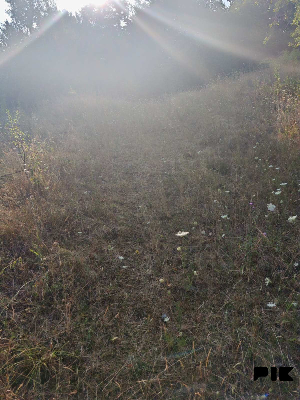 Zemljiste Zeleni Vir 3800m2 6