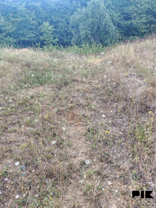 Zemljiste Zeleni Vir 3800m2 7