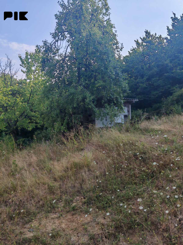Zemljiste Zeleni Vir 3800m2 8