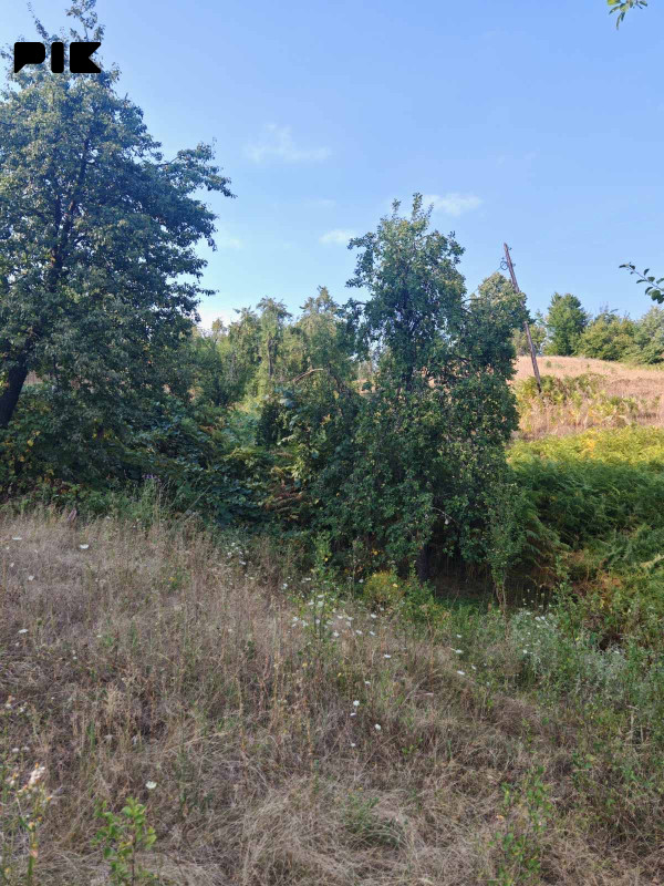 Zemljiste Zeleni Vir 3800m2 9