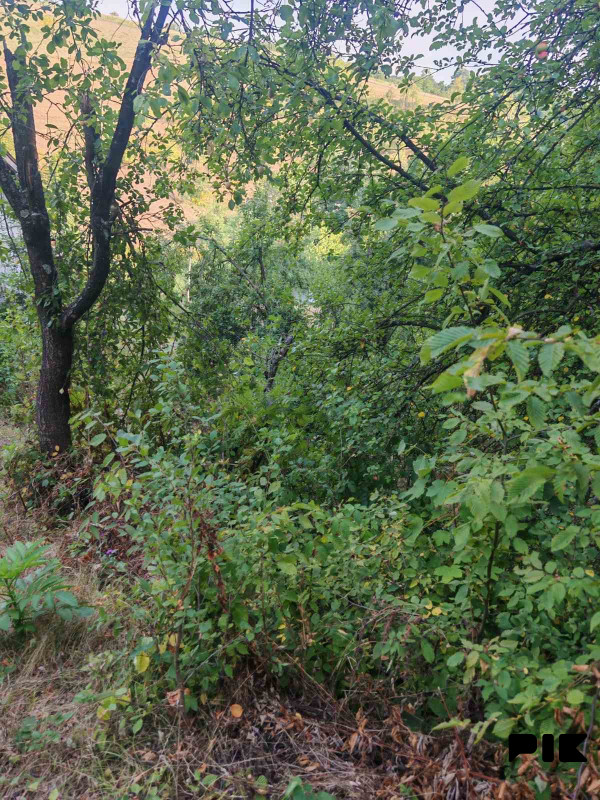 Zemljiste Zeleni Vir 3800m2 12