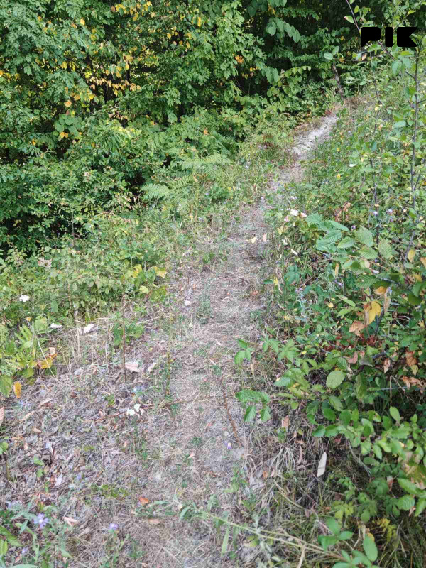 Zemljiste Zeleni Vir 3800m2 13