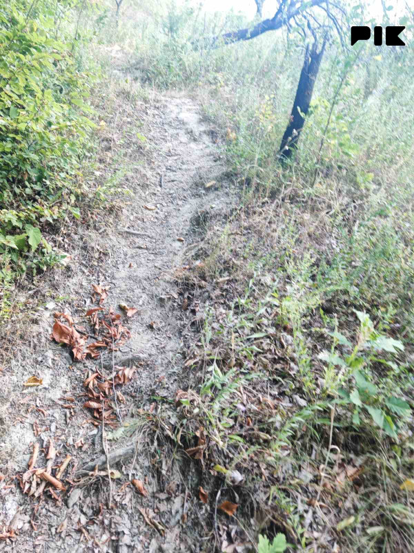 Zemljiste Zeleni Vir 3800m2 14