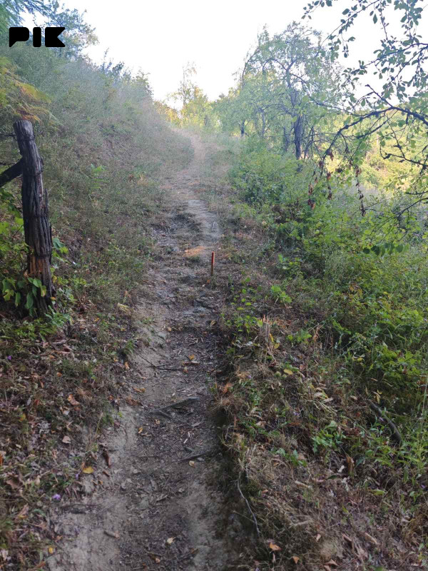 Zemljiste Zeleni Vir 3800m2 16