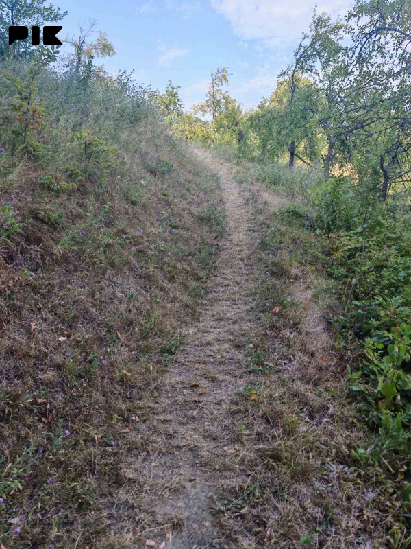 Zemljiste Zeleni Vir 3800m2 17